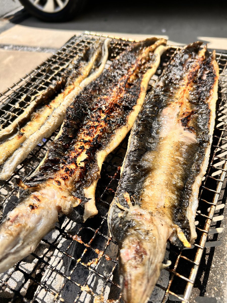 脂ノリノリ。美味しゅうございました😋