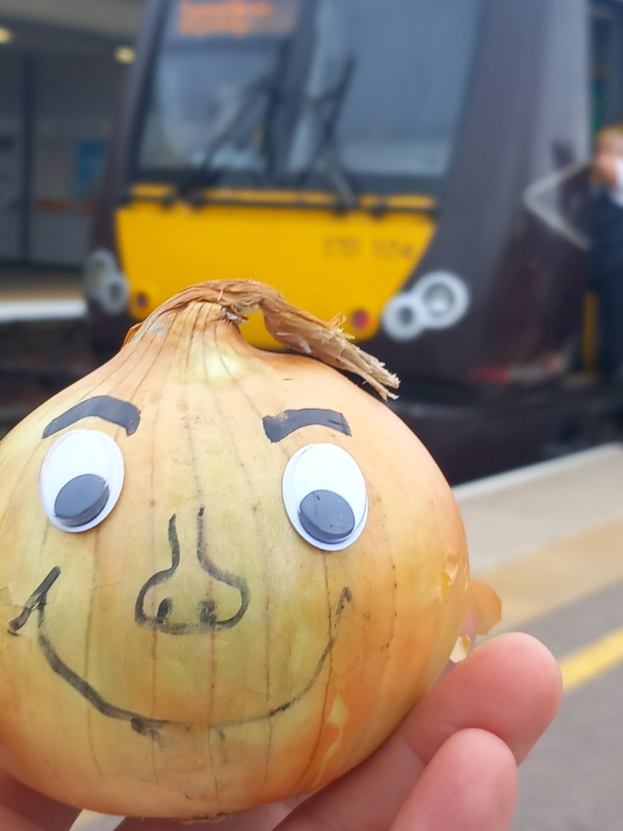 slamminorion's tweet image. Another onion to add to my collection 🌰🧅🤦‍♂️🤣🤣🤣