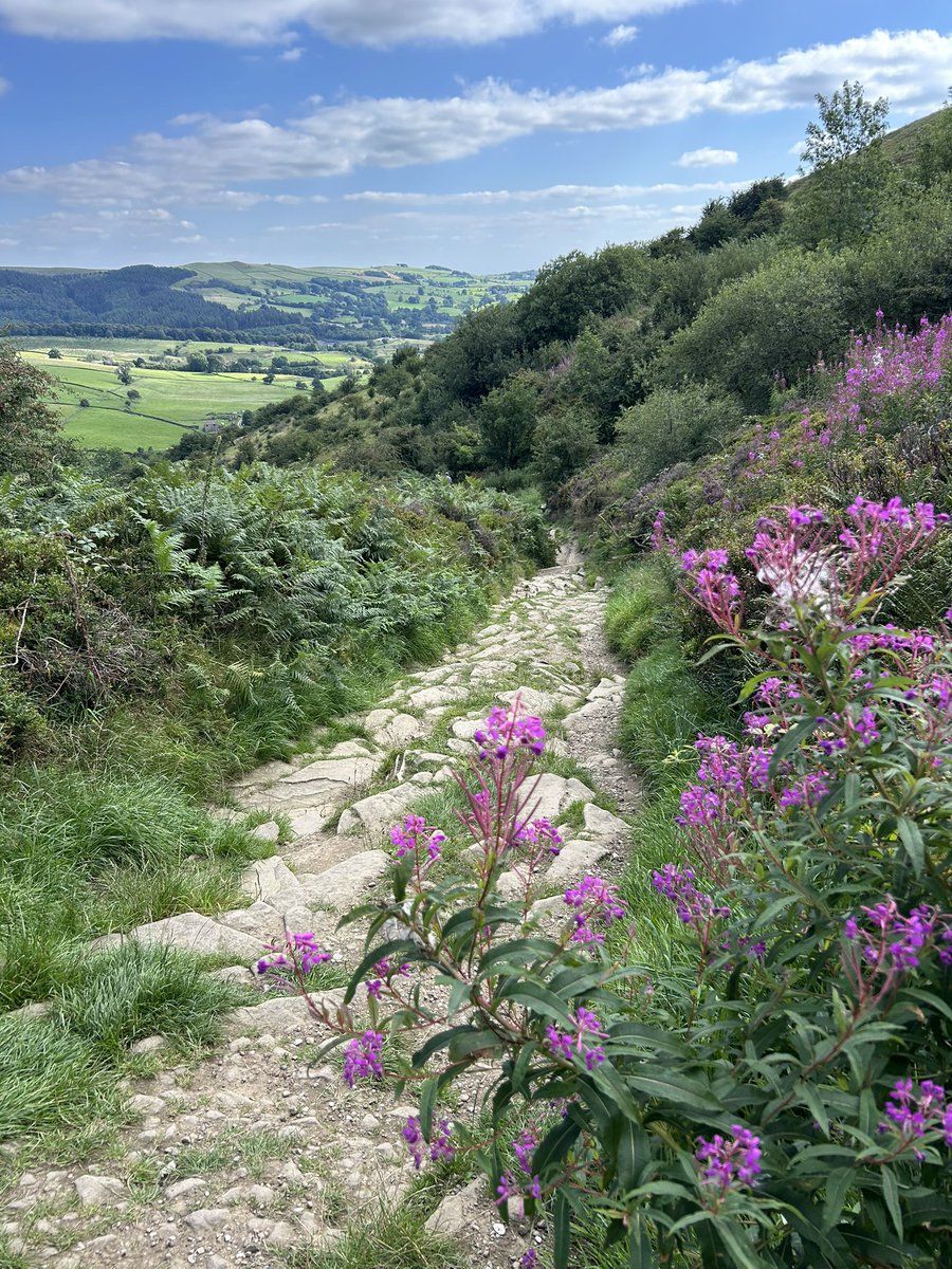 Loving this path near Teggs Nose in the Peak District, it's so different with each season and right now it's all wild and overgrown 💕💚

#peakdistrict #nature #hiking