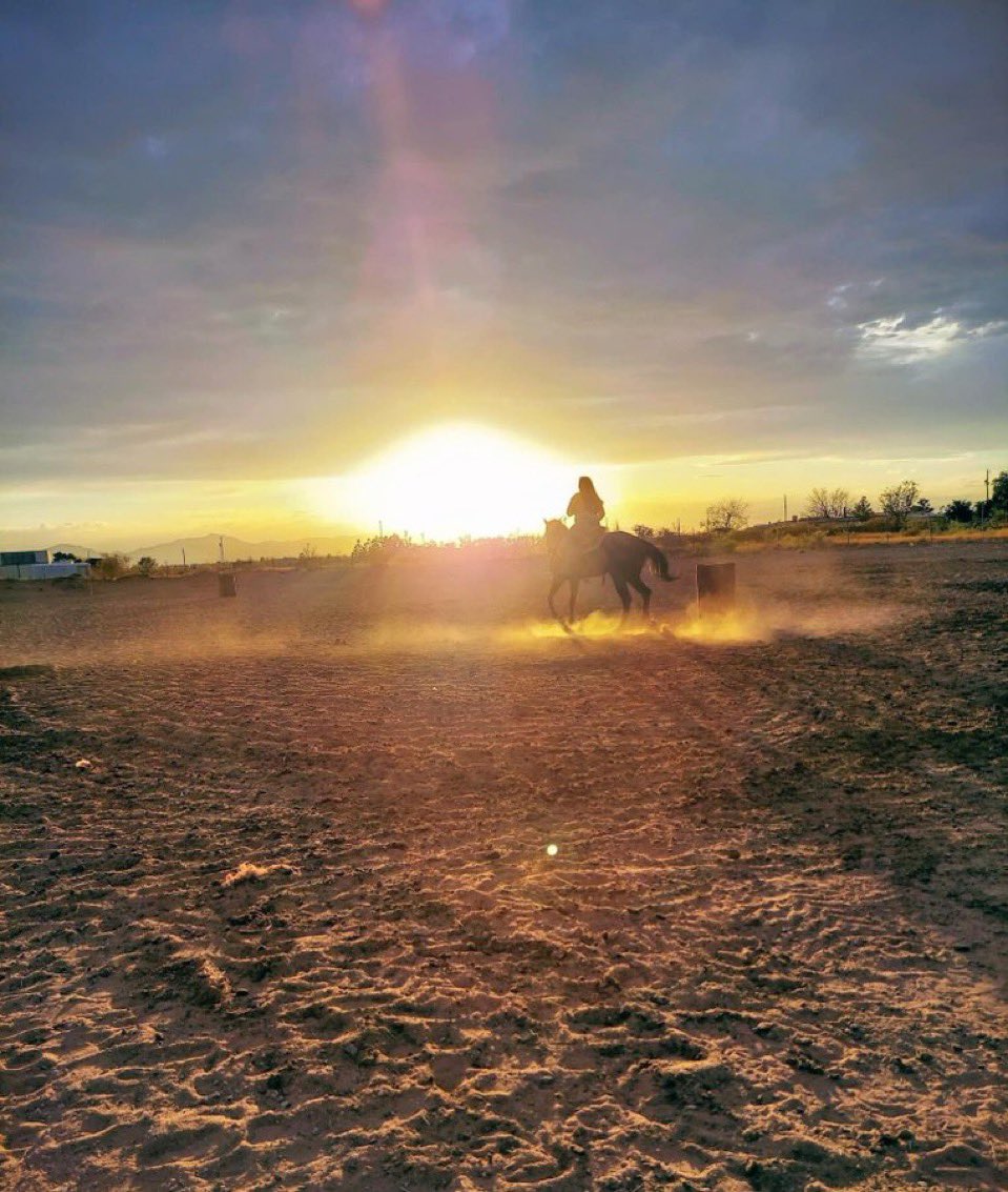 Dᵣₐᵢ𝚝ᵢ𝚗y 🎼 🎙️🎮🔬🧬 🐎 💃🏻 tweet media