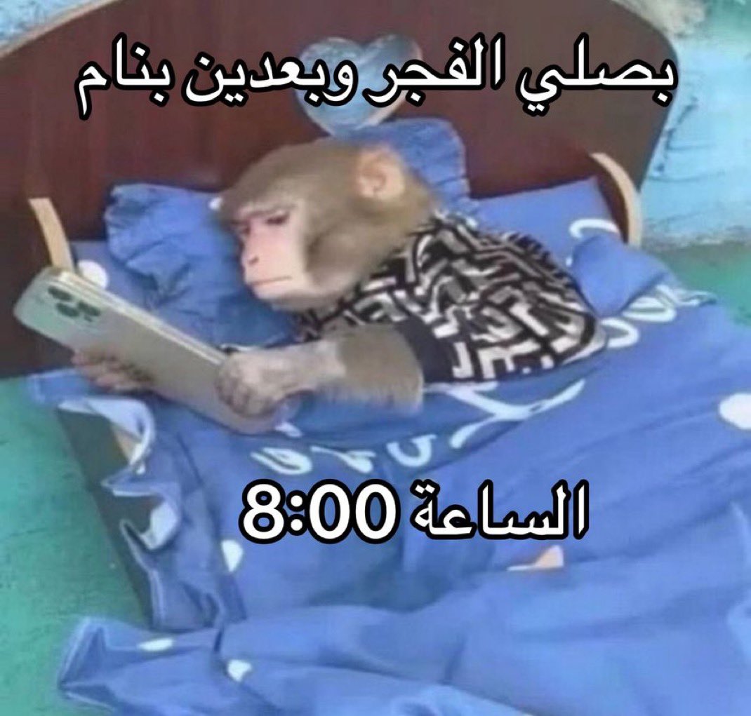 منصور (@i14nn) on Twitter photo 