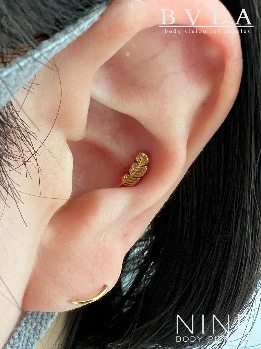VIVIFY Body Pierce 8~9G シルバー オニキス VIVIFY Body Pierce 8~9G シルバー オニキス Body Pierce/about9