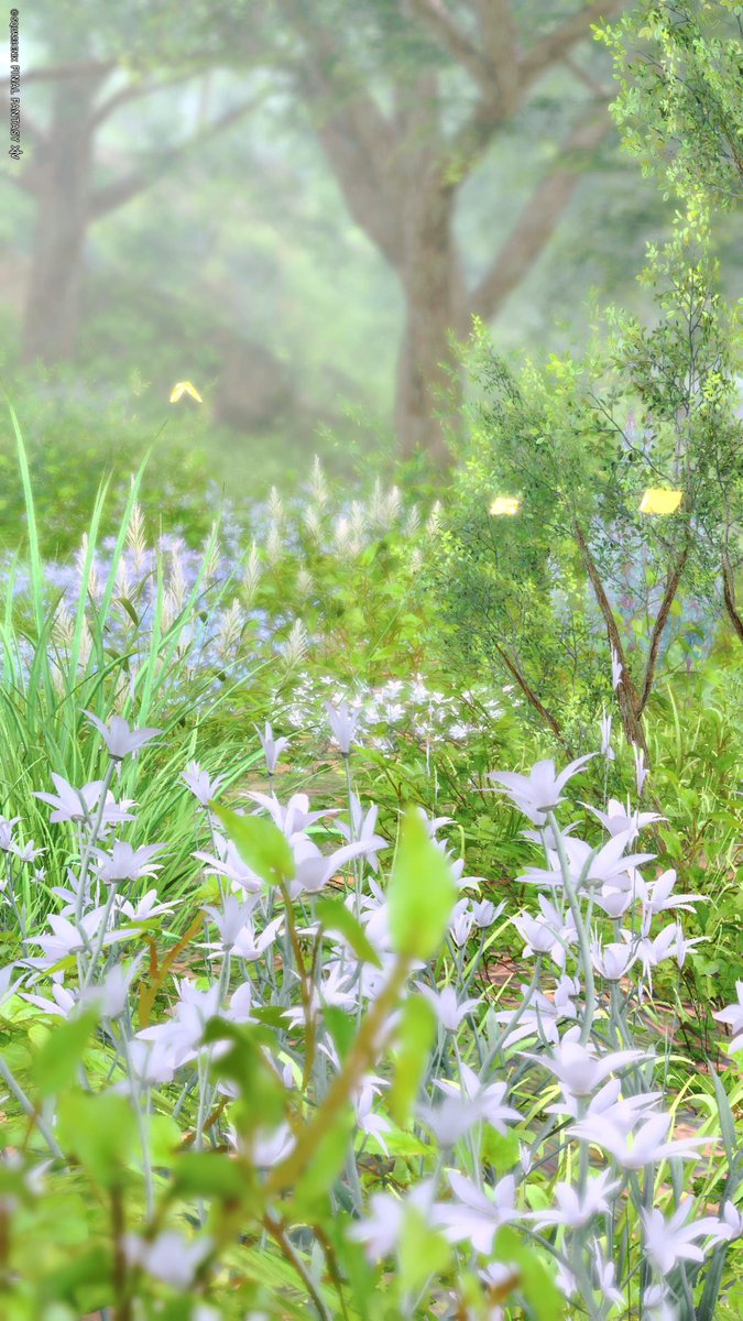 🌼🌱🌿🦋

#FF14風景