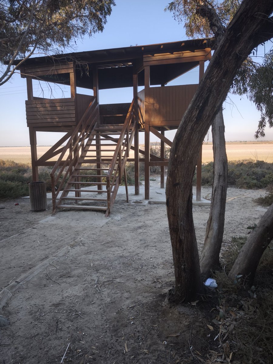 Cedricmtp tweet media