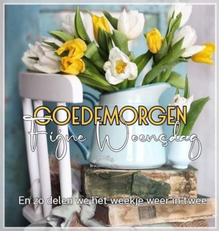 Goedemorgen iedereen