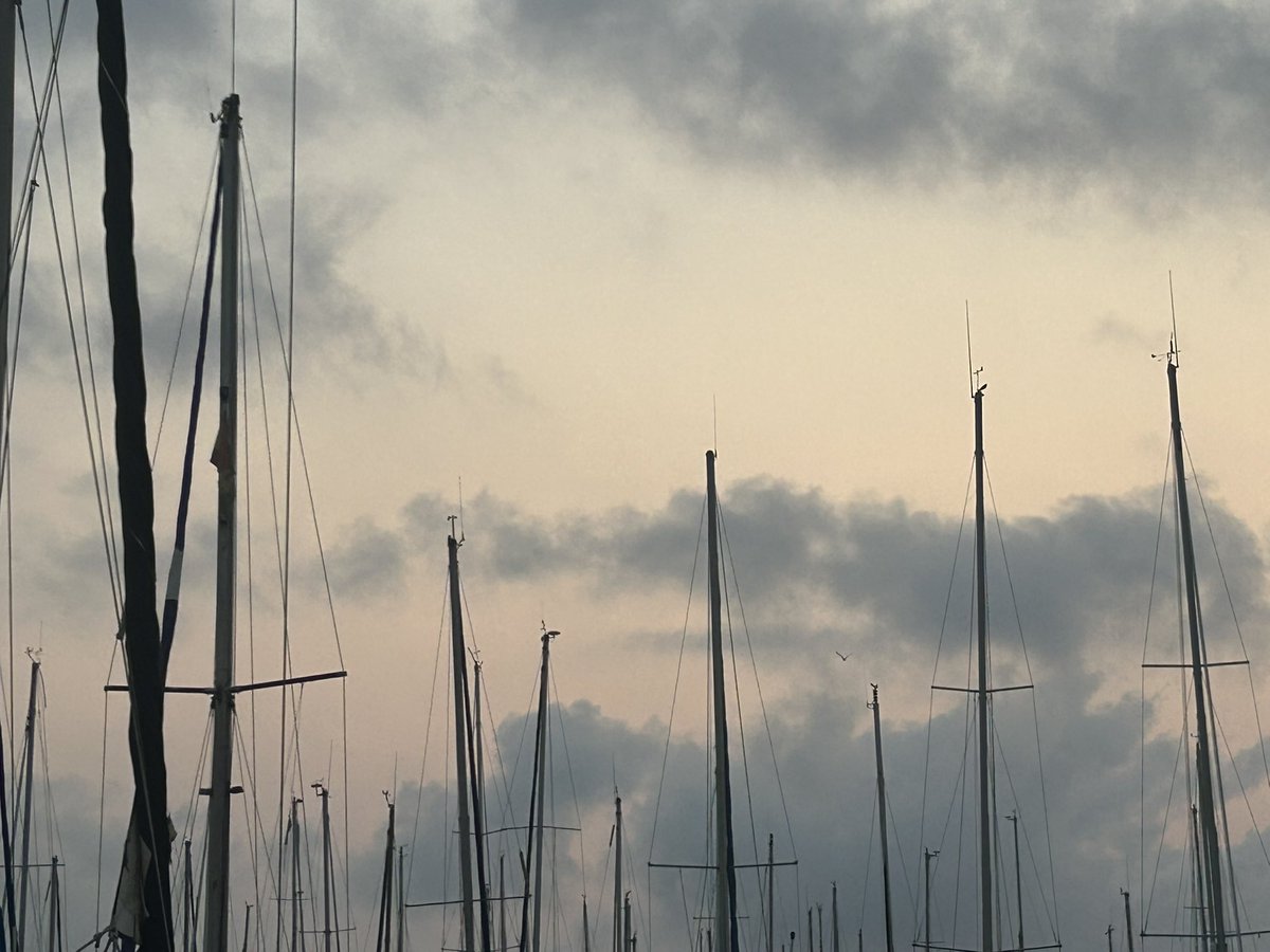 Macaarquitectos's tweet image. Amanece.
Libertad…