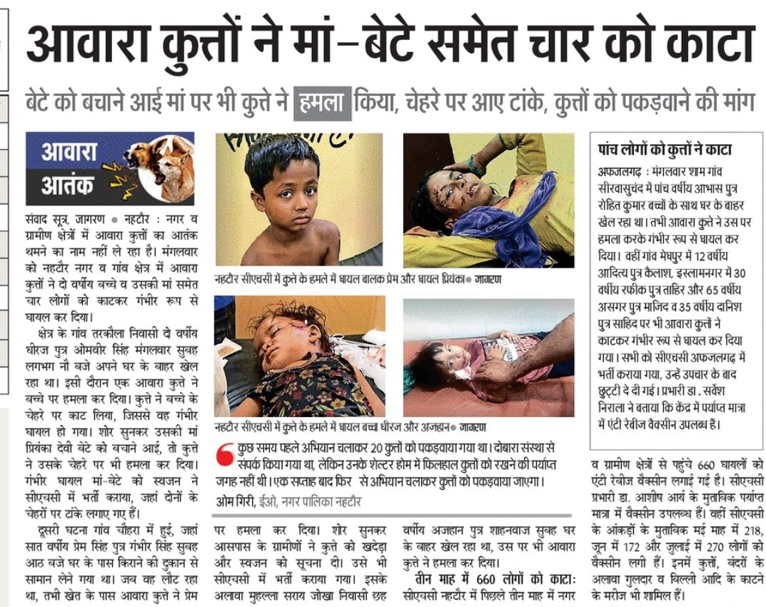 This country is living under the terror of stray dogs. In a small UP town, 660 people have suffered from dog bites over the last 90 days. The real scale of stray dog menace is hugely under reported and understated.