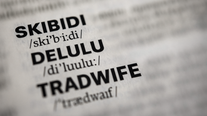 19. 8. 2025 - Cambridge Dictionary letos přidal přes šest tisíc nových položek včetně výrazů skibidi, delulu a tradwife, které vzešly z online kultury. Vedle slangu se objevují i praktické termíny jako mouse jiggler či work spouse. evropa2.cz/clanky/lifesty…