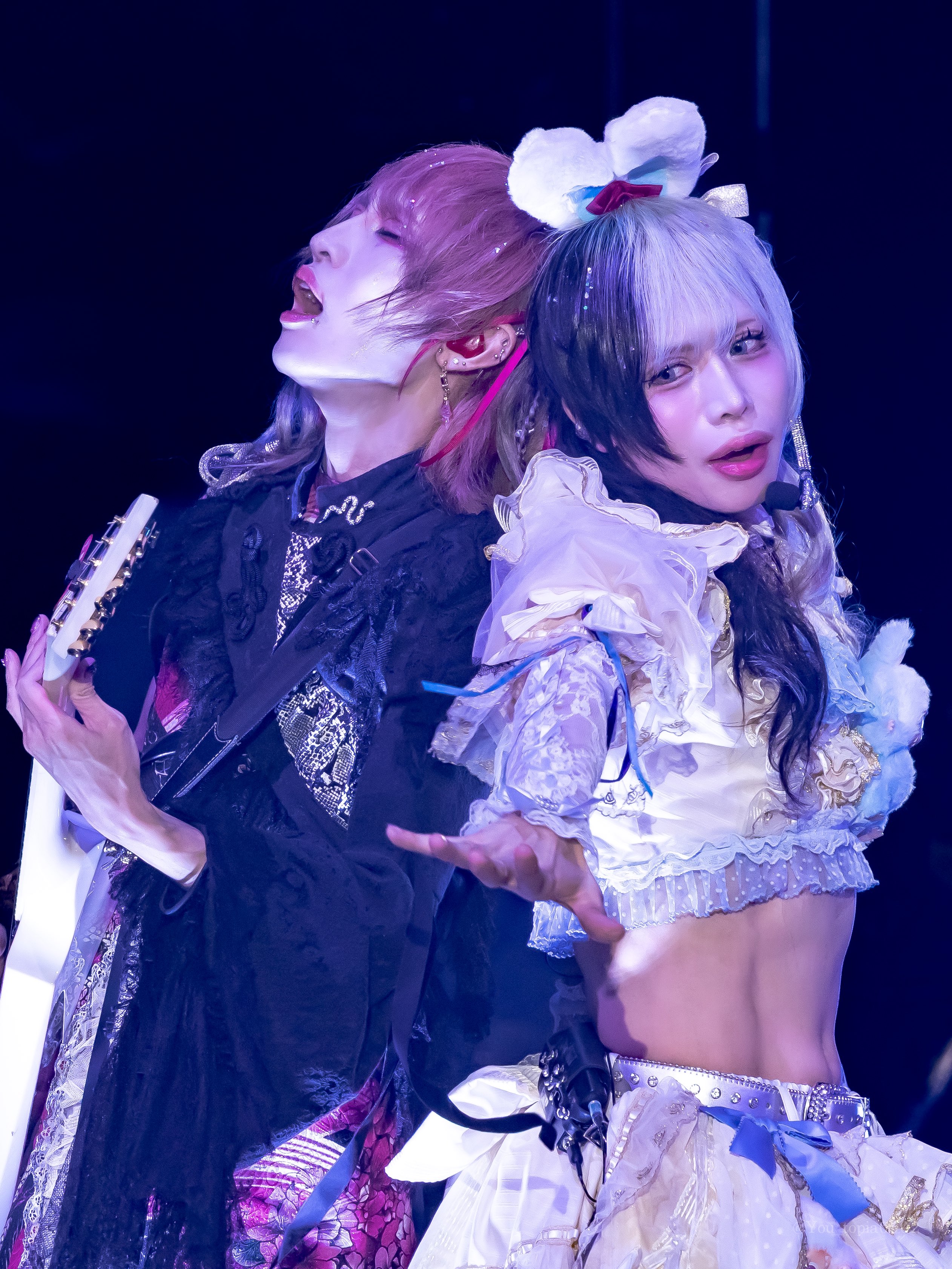 【ペコりん】 Peco(ぺこ)🐍🎸💮 (@peco_box) / X