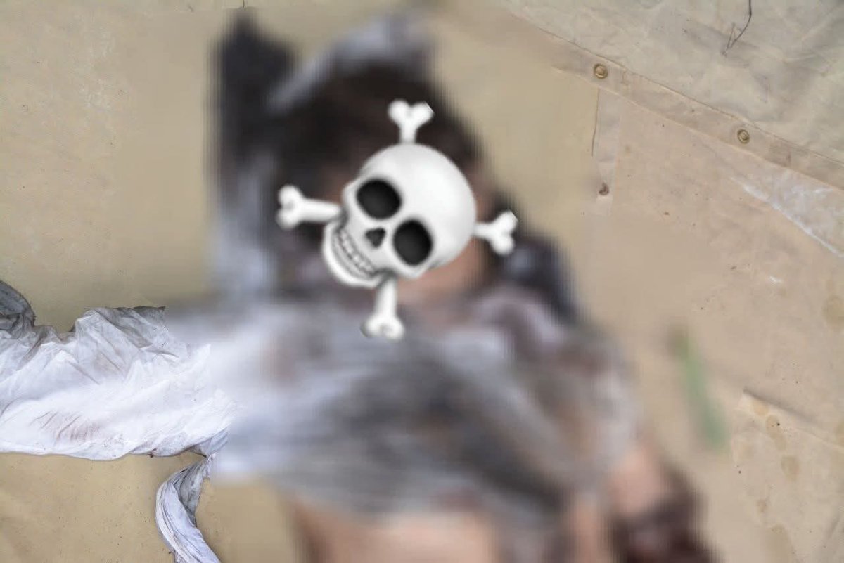 ◾Timely action by Security Forces in North Waziristan foiled a major terror plot.

◾Suicide bomber eliminated, body recovered.

◾One local detained for investigation.

◾Hunt for facilitators underway.

#Pakistan #NorthWaziristan