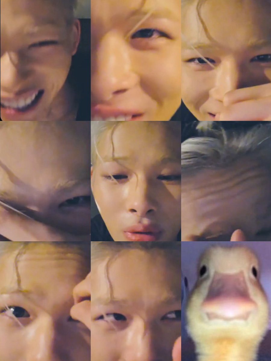 ˖♡̶ (@en_cuteduck) on Twitter photo 