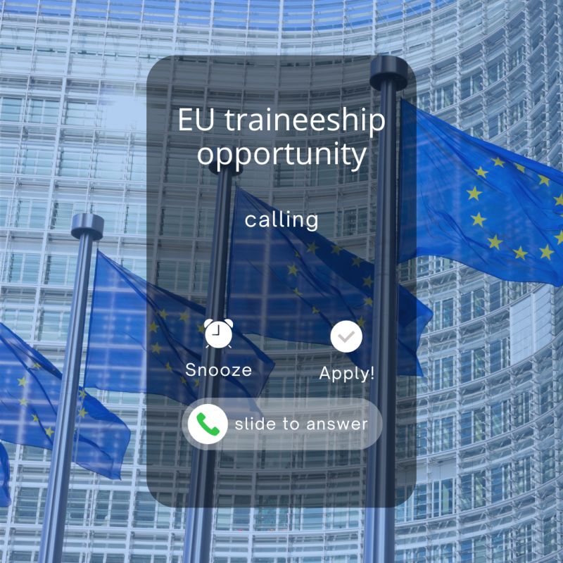 Are you a university graduate interested in working on environmental protection at 🇪🇺 level?

Then this call is for you!📞

The #BlueBookTraineeship programme is a five-month paid internship offered by the <a href="/EU_Commission/">European Commission</a>

Apply by 29 August - 10.00 CEST 👉 europa.eu/!YNDggC