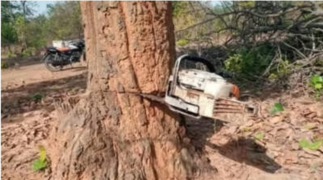 मोदी और अडानी ने वरिष्ठ भाजपा नेताओं को ठेंगा दिखाकर बना दिया है एक नये MLAराजेश अग्रवाल जी को मंत्री।यह तोहफा मिला है हसदेव जंगल की बली चढ़ाकर।सरगुजा को अडानी का गुलाम किसी भी कीमत पर नहीं बनने दूँगी
भारत देश के इतिहास में ऐसा चोर व लुटेरा प्रधानमंत्री न किसी ने देखा न सुना है।