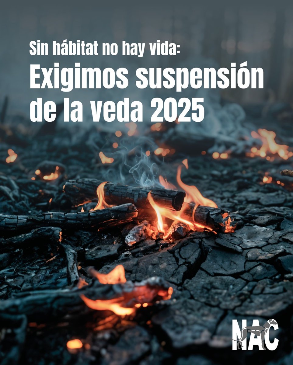 Plataforma NAC #NoALaCaza (@plataforma_nac) on Twitter photo 🆘Emergencia ambiental:
Por los graves incendios forestales, Plataforma NAC – No a la Caza exigimos a las administraciones públicas la suspensión inmediata de la temporada de caza para este año 2025
No puede haber caza donde el monte huele a humo
<a href="/gobmapa/">Ministerio de Agricultura, Pesca y Alimentación</a> <a href="/sanchezcastejon/">Pedro Sánchez</a> 🆘Emergencia ambiental:
Por los graves incendios forestales, Plataforma NAC – No a la Caza exigimos a las administraciones públicas la suspensión inmediata de la temporada de caza para este año 2025
No puede haber caza donde el monte huele a humo
<a href="/gobmapa/">Ministerio de Agricultura, Pesca y Alimentación</a> <a href="/sanchezcastejon/">Pedro Sánchez</a>