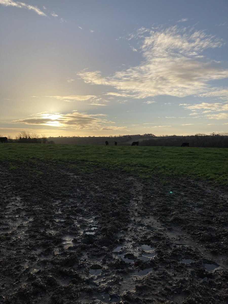 Good Morning 🕊️

This England our England 🏴󠁧󠁢󠁥󠁮󠁧󠁿
Have a good positive day..