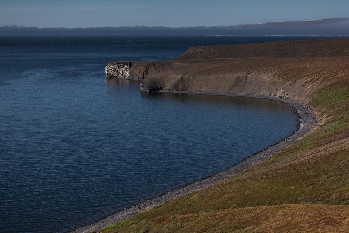 Mytho Siberia tweet media