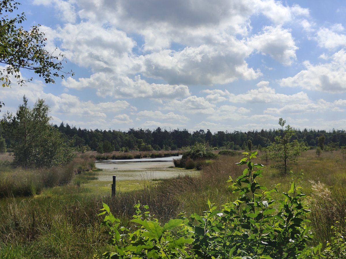 Goedemorgen, breek-de-week-dag, we gaan ervoor. Voor de werkende altijd prettig. Een waardevolle dag gewenst.