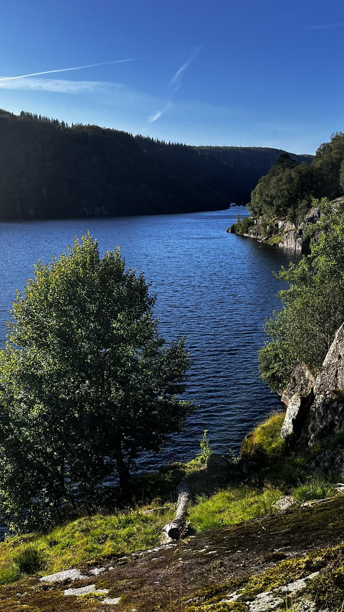 Val on the Moon tweet media