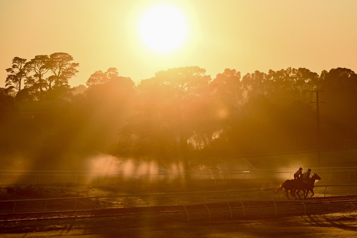 Vince Caligiuri tweet media