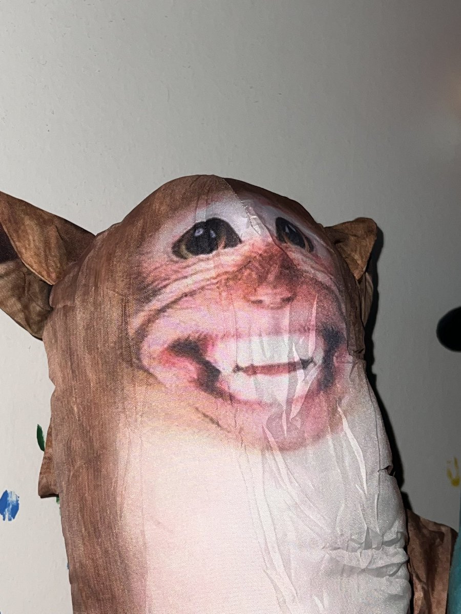 Mine showed up today and he is even uglier in person