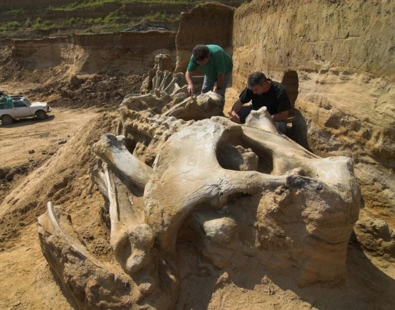RjNol's tweet photo. Serbian archaeologists discovered a series of iron nails in a layer of sand during excavations in a coal quarry, and also found mammoth bones in the same quarry. Both discoveries were made at a depth of 23ft. After a quick study, experts concluded that the boats date back to the Roman period, and the bones are estimated to be millions of years old.