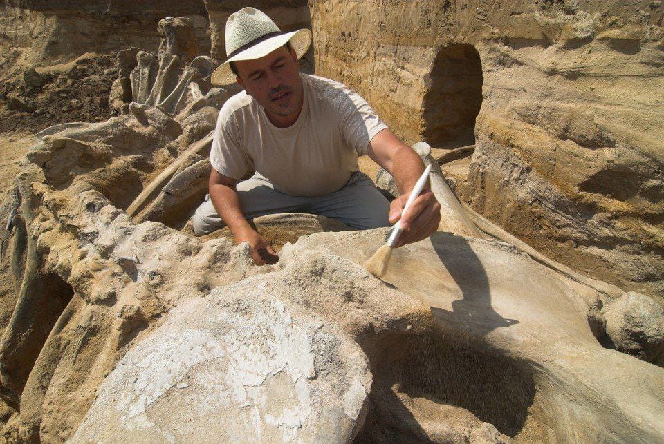 RjNol's tweet photo. Serbian archaeologists discovered a series of iron nails in a layer of sand during excavations in a coal quarry, and also found mammoth bones in the same quarry. Both discoveries were made at a depth of 23ft. After a quick study, experts concluded that the boats date back to the Roman period, and the bones are estimated to be millions of years old.
