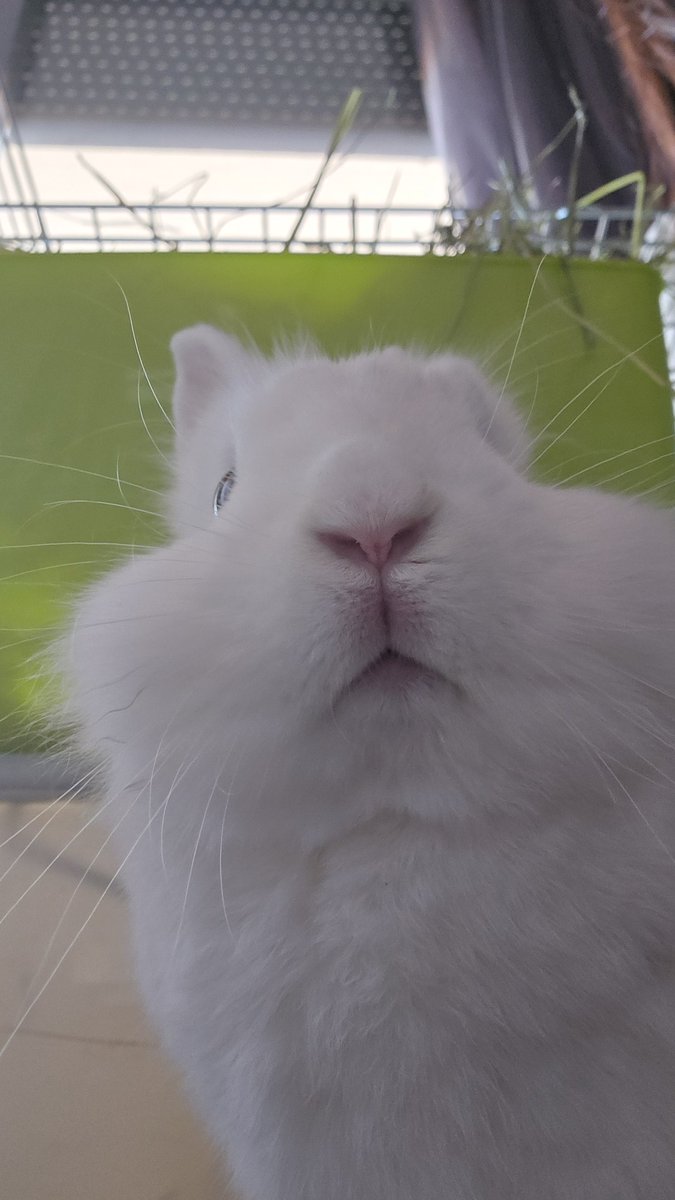 ᴛʀɪѕʜ ౨ৎ tweet media