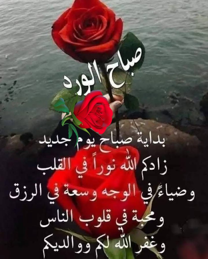 ابو خالد (@bwkld339915) on Twitter photo 