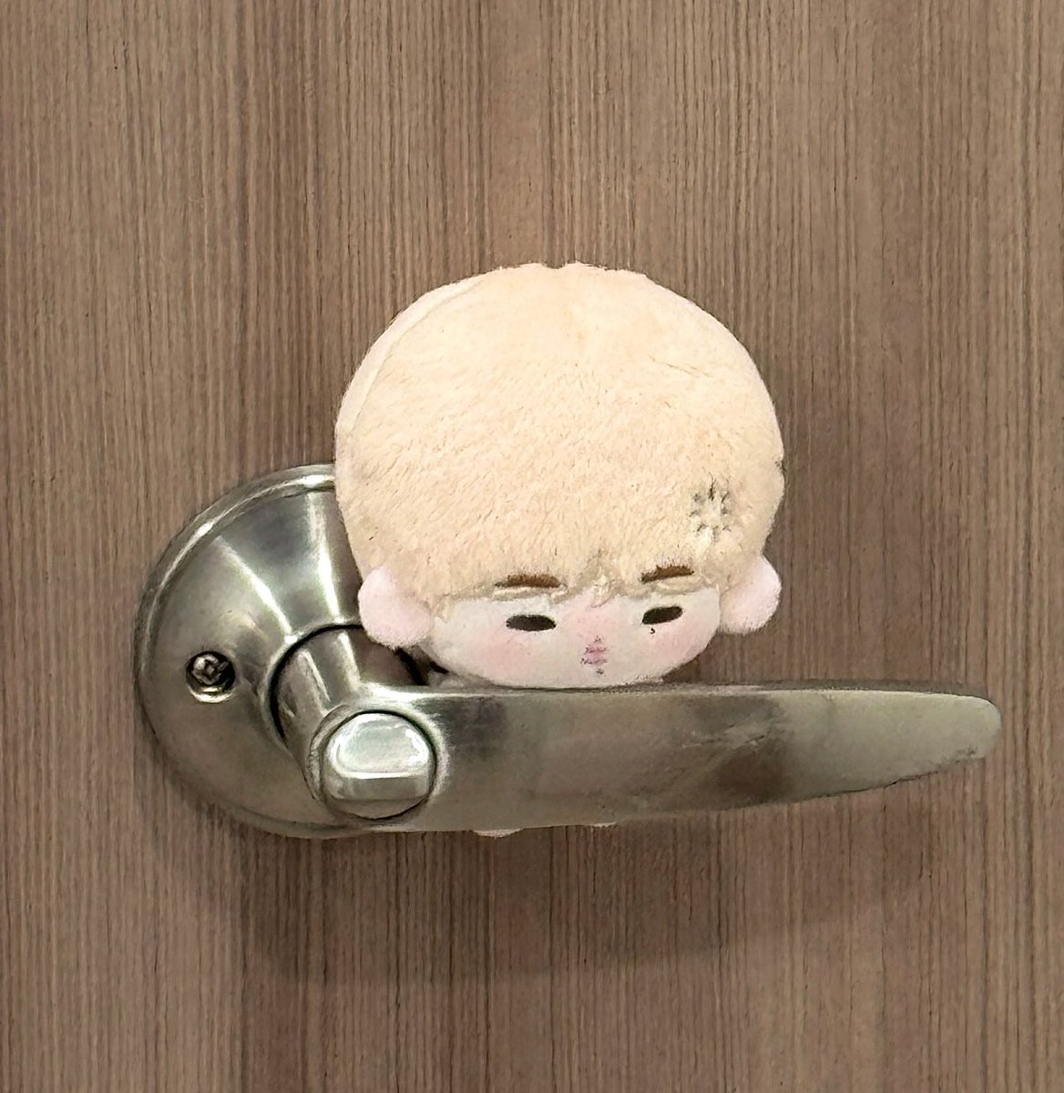 enhaultz's tweet image. wts lfb | #redstringlapags

5cm ni-ki doll ‘尼国国 / kunkun’
⭑ ₱420 + fees to follow
+ gift tba

doo: 08.26 6pm
dop: 08.27 12pm

3-4 months prod
feta after box ship out ☻
rcbyt: redstring89.carrd.co

reply / dm mine + qty