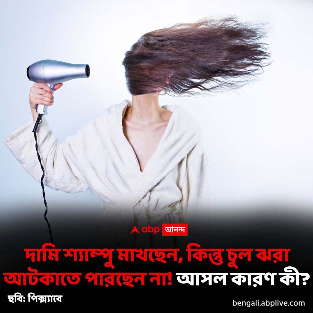 abpanandatv's tweet image. আপনার জীবনধারার জন্যই ঝরছে চুল? কী কী বদল আনবেন?
#HairFall
#hairfallsolution

বিস্তারিত
bengali.abplive.com/web-stories/li…