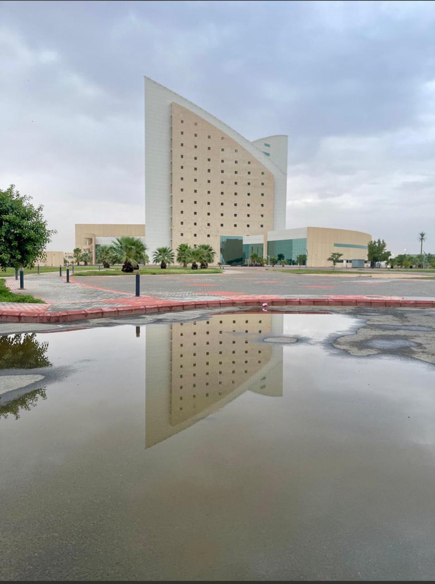 أحمد عبدالله المصعبي ✪ tweet media