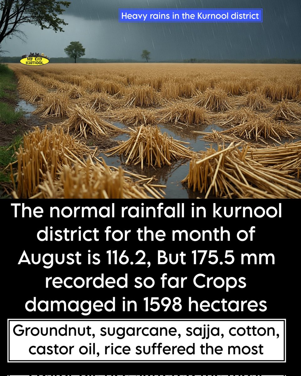 my city-KURNOOL (@mycitykurnool) on Twitter photo 