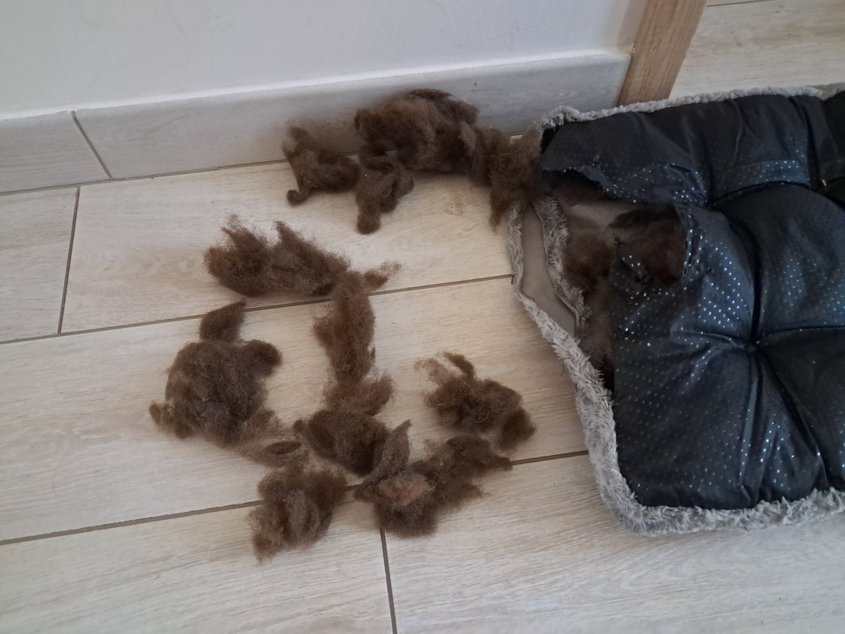 Dnes bude slunecno, misty vybuchujici pelechy! 🙈