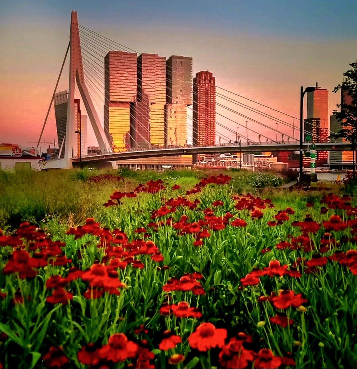 Dave (@davegooij) on Twitter photo Goeie mogguhh vandaag gaan we met de middelste en kleinste naar de tandarts dat word nog wat π. Wij wensen jullie een hele fijne woensdag allemaal. En voor de zieken onder ons sterkte en beterschap π.
#Rotterdam ππ€π. Goeie mogguhh vandaag gaan we met de middelste en kleinste naar de tandarts dat word nog wat π. Wij wensen jullie een hele fijne woensdag allemaal. En voor de zieken onder ons sterkte en beterschap π.
#Rotterdam ππ€π.