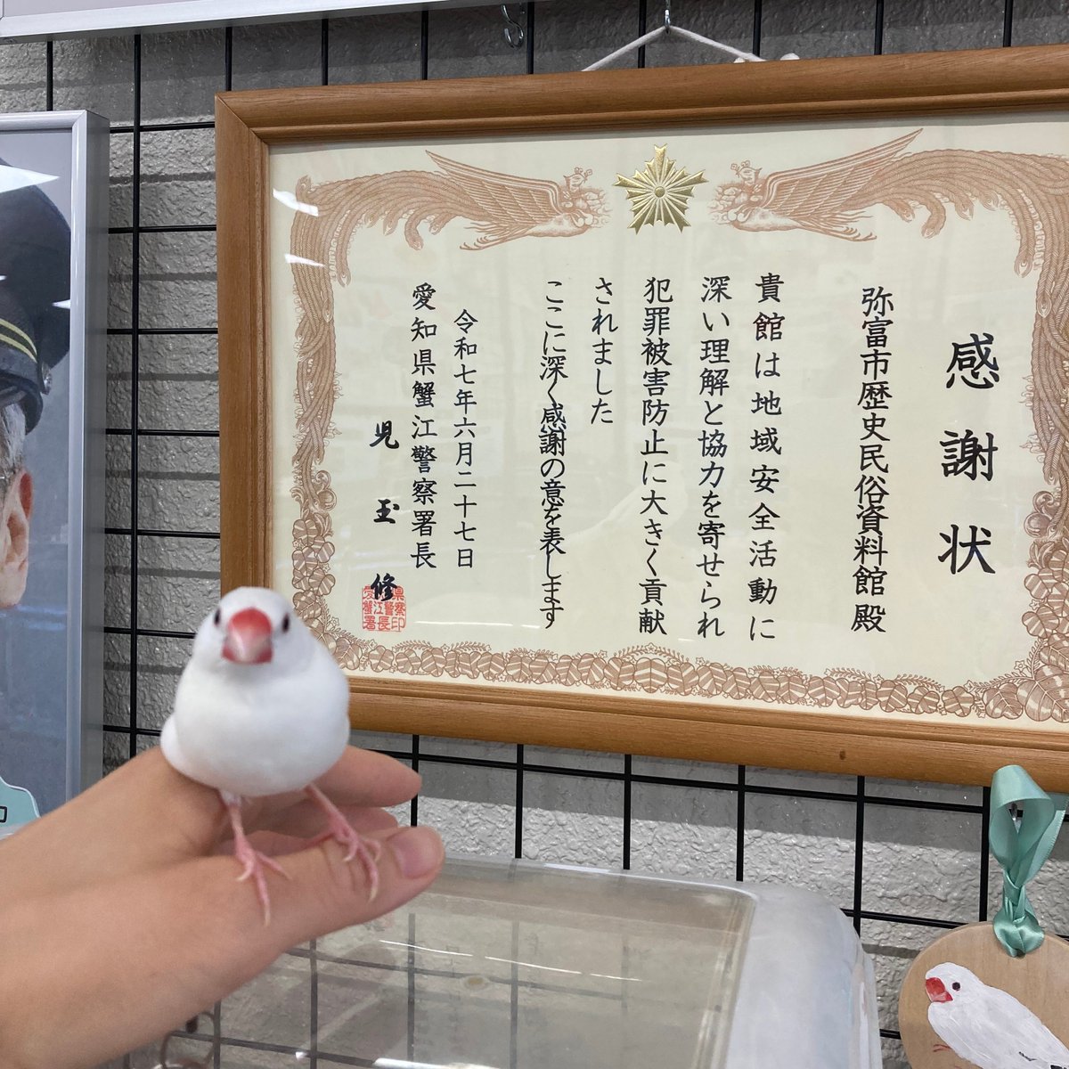 文鳥スキー　様 XL文鳥 (@XLBunchou) / X