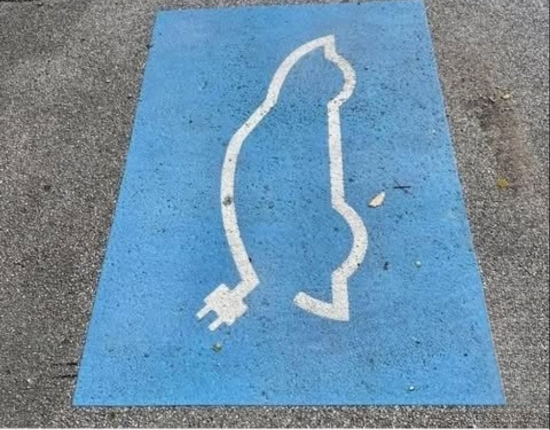 AH IO PENSAVO FOSSE UNA POSTAZIONE DI RICARICA PER GATTI