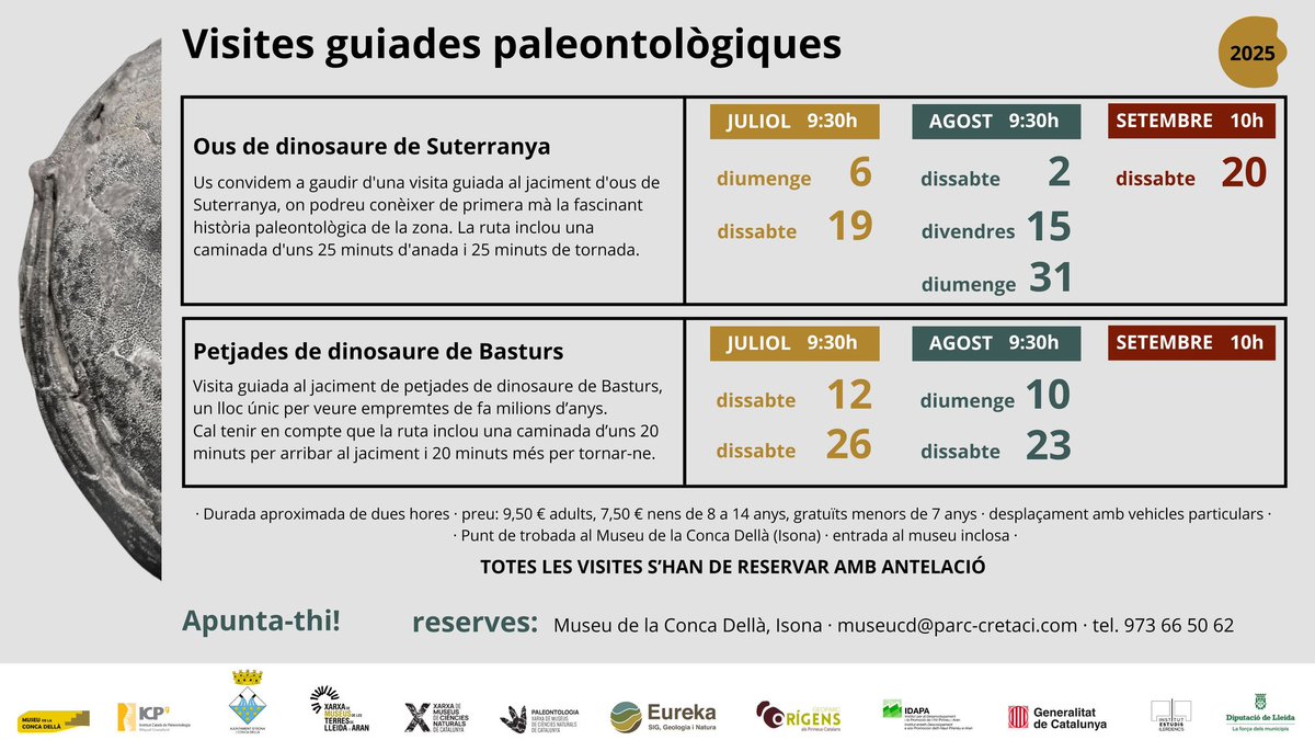 Bon dia! Us portem una safata ben plena de visites guiades per aquesta setmana:
- Dijous 21: Llordà a les 18h, Covet a les 19:30
- Dissabte 23: Jaciment de Basturs a les 9:30
- Diumenge 24: Llordà a les 10:30h, Covet a les 12.
