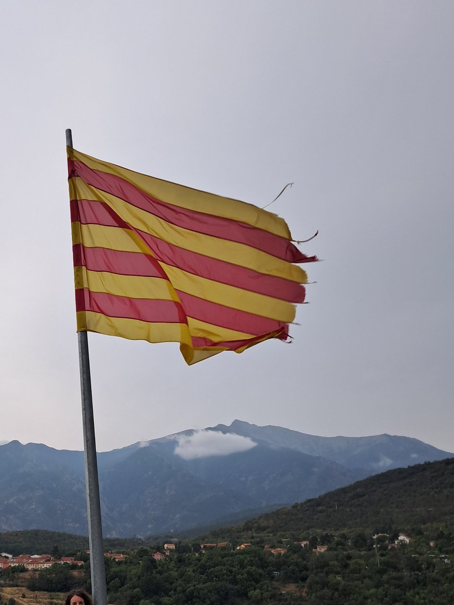Antoni Veciana Ribes (@antoniveciana) on Twitter photo Si sou a Prada a la <a href="/UCE_CAT/">Universitat Catalana d'Estiu</a> avui presentaré Dolça a la Torre de Fang a les 6. Parlaré de Dolça de Provença, Ramon Berenguer III, el país, la llengua, i tot el que ens remou.
<a href="/amicsprada/">Amics Prada 🎗🎗 🎗🎗</a> <a href="/SegonaPeriferia/">La Segona Perifèria</a> Si sou a Prada a la <a href="/UCE_CAT/">Universitat Catalana d'Estiu</a> avui presentaré Dolça a la Torre de Fang a les 6. Parlaré de Dolça de Provença, Ramon Berenguer III, el país, la llengua, i tot el que ens remou.
<a href="/amicsprada/">Amics Prada 🎗🎗 🎗🎗</a> <a href="/SegonaPeriferia/">La Segona Perifèria</a>