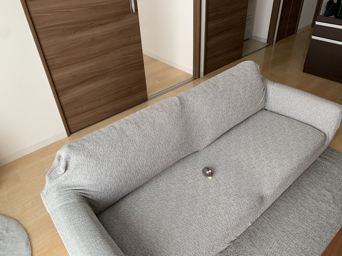 これはハムスターファーストの暮らし