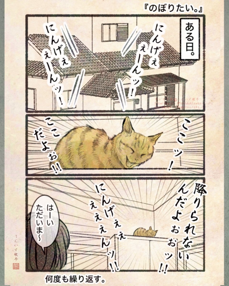 ねこさんページ GqPFB9-bYAAZK1j.jpg