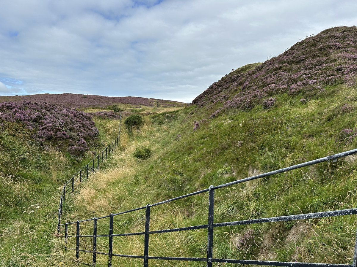 McArt’s Fort, Belfast. Standing 368m above see level, this promontory fort (or ráth) is defended on the landward side by a deep ditch and on its other two sides by precipitous cliffs. While it is assumed to be Iron Age, very little investigation of the site has taken place