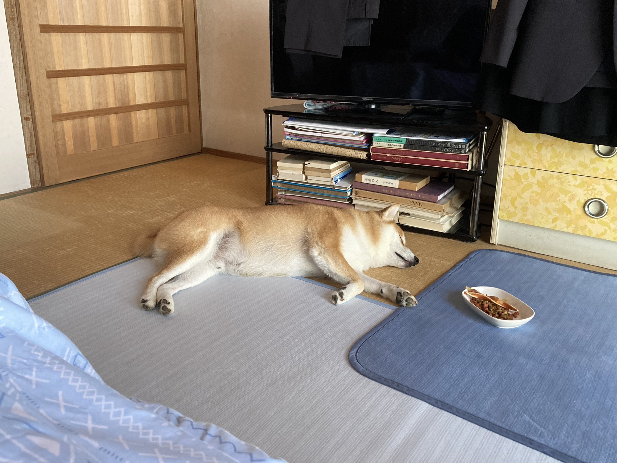 tsurusakiizumi (@tsurusakiizumi) / X