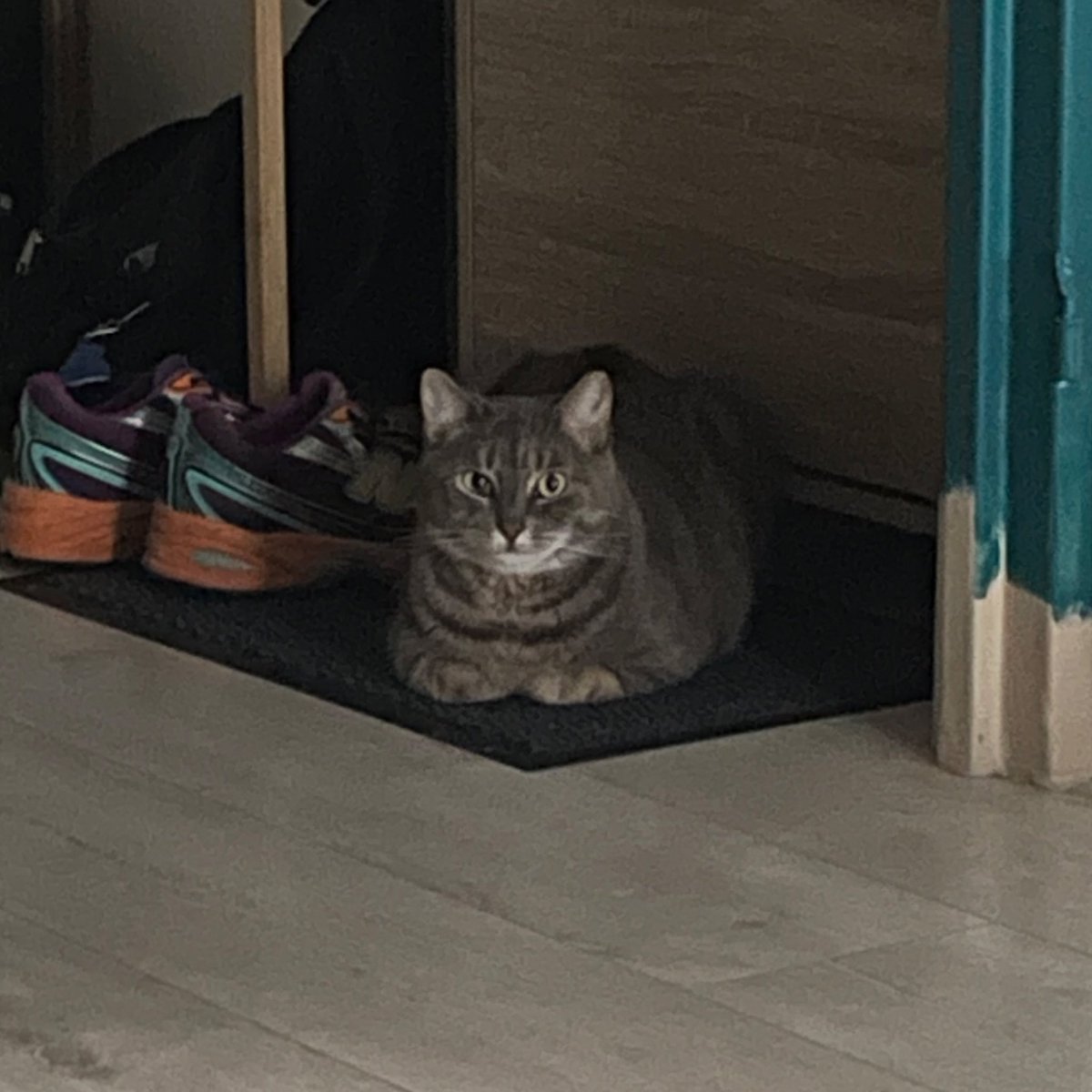 Je prends mon petit dej en étant surveillée par une chassure