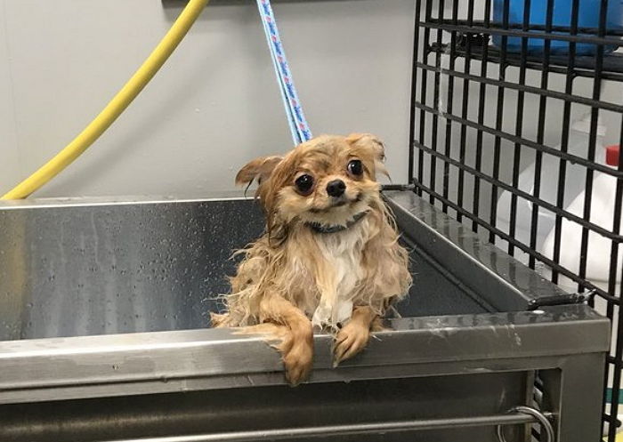 가륜방직 책자 122번까지 업데이트된버전이 생겨가지구 108번까지 있는 구버전이 필요없게됏는데 어뜨케 처리해야하지
.
 
.
.