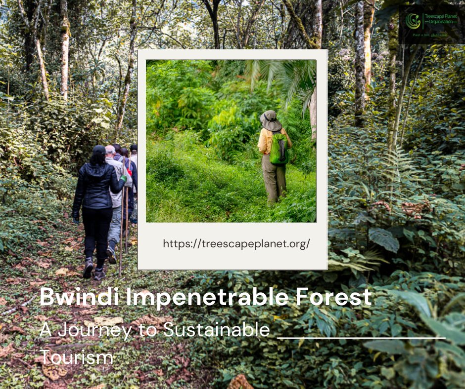 From the misty trails of Bwindi Impenetrable Forest🌳 to the hidden wonders of Zika Forest🐒, Uganda is a storyteller’s paradise.

Eco-tourism isn’t just travel — it’s protecting nature, empowering communities &amp; keeping our wild heart alive. 
Travel with purpose. Leave only
