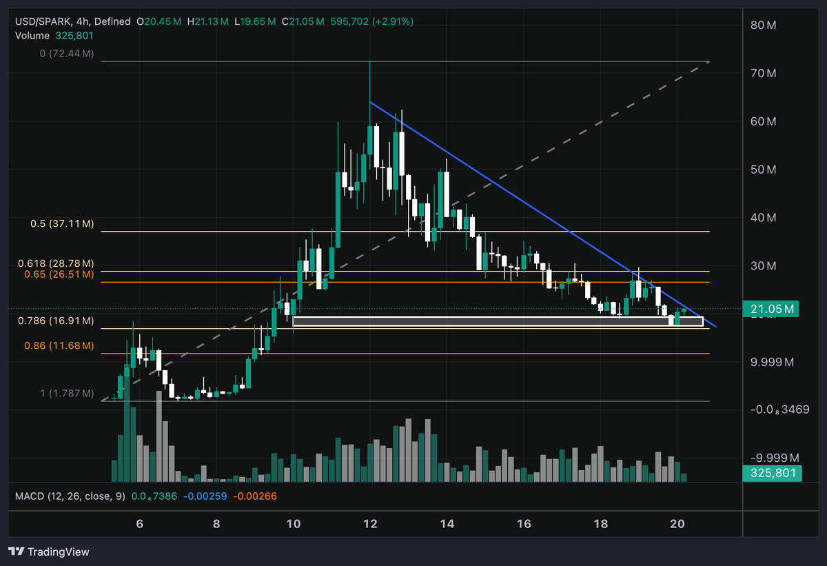 𝐓 | 𝐀 tweet media