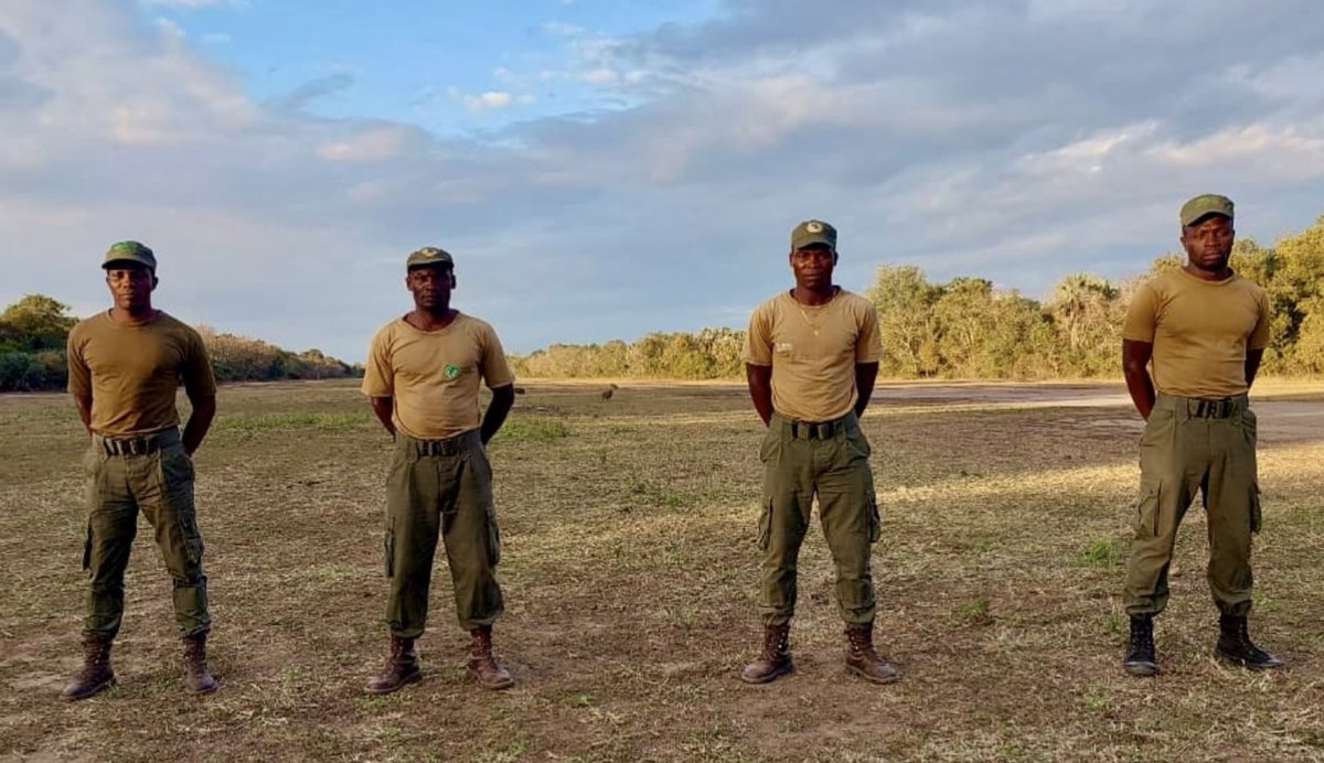 GorongosaPark's tweet image. 2.  Cada flexão, passo e teste que fazem prova uma coisa: os Fiscais de Fauna Bravia de África são importantes. Boa sorte e obrigado a todos os nossos Fiscais!  
#Rangers #rangerchallenge #Gorongosa #gorongosanationalpark 

Texto/fotos - Janado Nazaré Cher