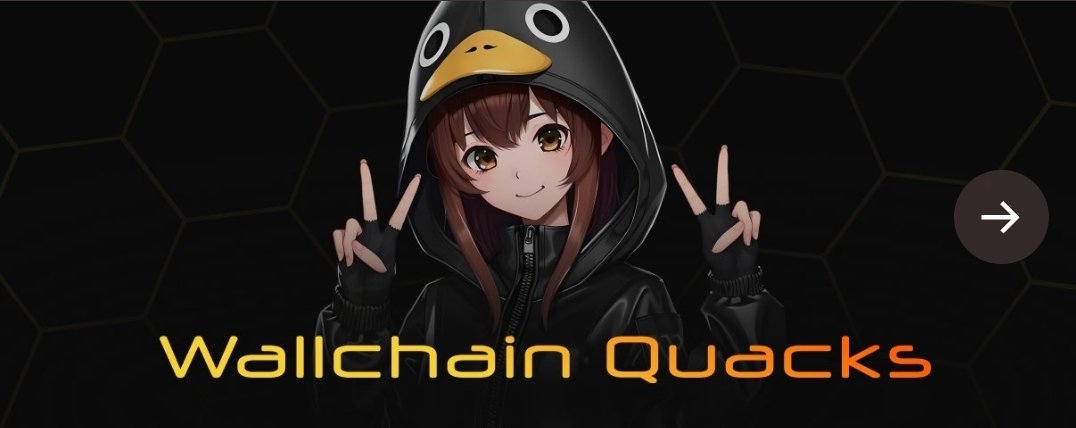Been scrolling through <a href="/wallchain_xyz/">Wallchain Quacks</a> and I can't just get my head around what project to stick to a drain quack as hard as possible cuz they're all nice projects there.

So between 
<a href="/SOCKETProtocol/">SOCKET</a>
<a href="/avantisfi/">Avantis</a>
<a href="/trylimitless/">Limitless</a>
<a href="/Covalent_HQ/">Covalent</a>

What would be your choice and why? 🤔