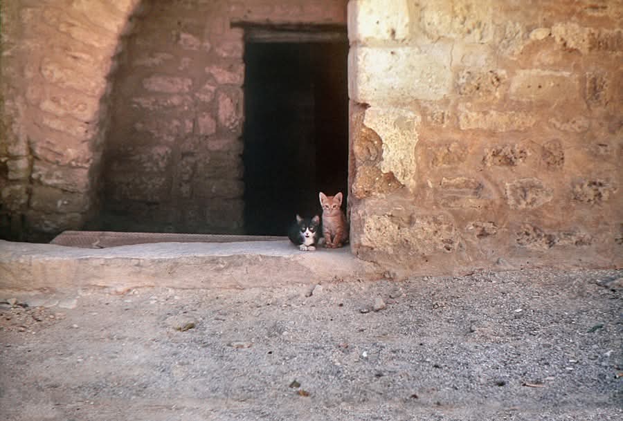 You may not see it yet, but everything is quietly aligning in your favor.