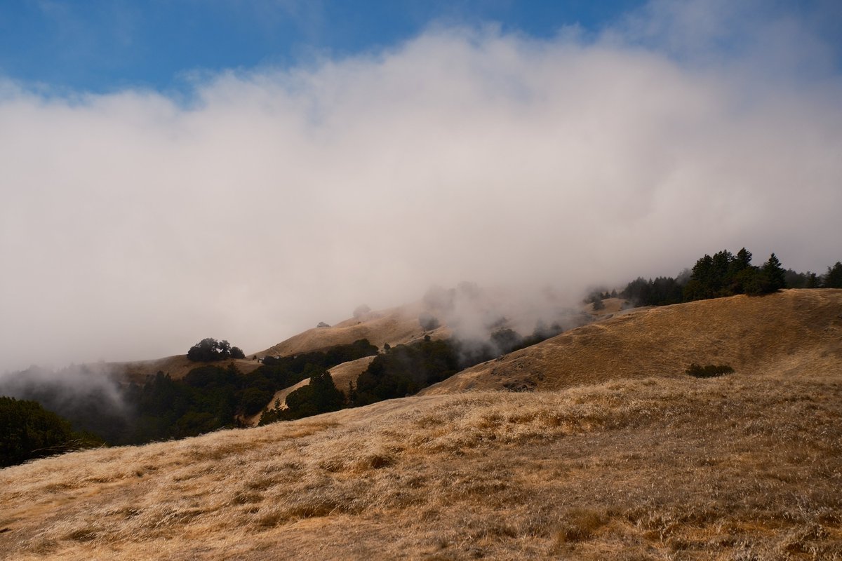 KAI (@lfk_dsk) on Twitter photo 